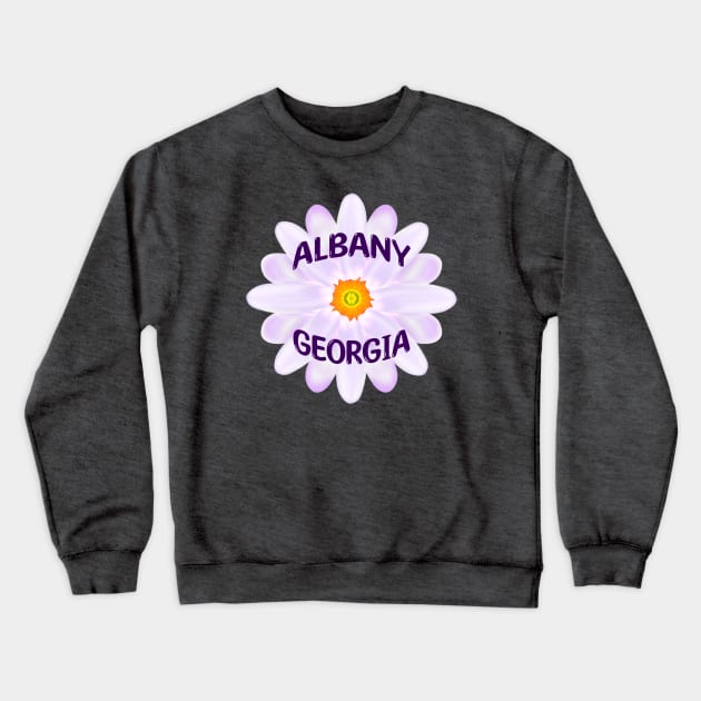 Albany Georgia Crewneck Sweatshirt by MoMido